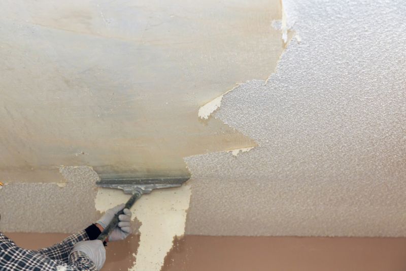 Experienced Ceiling Contractors